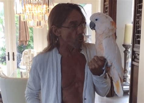 iggy pop parrot